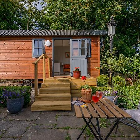 Hawthorn Hut Kilkenny Glamping At Jenkinstown House Hotel Jenkinstown Park Buitenkant foto